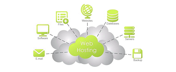 what is web hosting