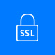 SSL Icon