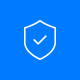 Data Protection Icon