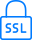 SSL Icon